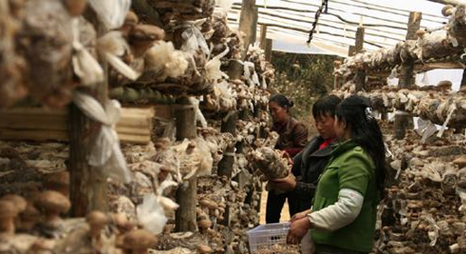 OC4XC%HP20~]%@CJPVKM5YU