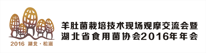 2016Manbetx体育手机版推荐A9版本Manbetx体育手机版V17版本发布.官网安卓网.香港现场观摩交流会--LOGO1
