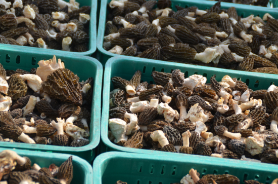 ManBetX体育特写3_编辑_编辑