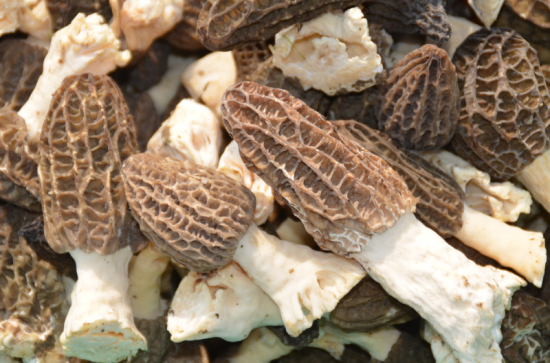 ManBetX体育特写2_编辑