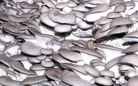 QQ图片20160309161259