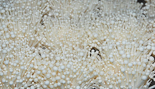 QQ图片20160309145525