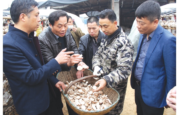 092933rlq5v7qd67gor5o9.jpg.thumb