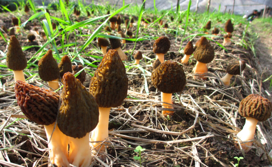 DD~HO]A0S]YOTWR7(7QA(KJ_编辑