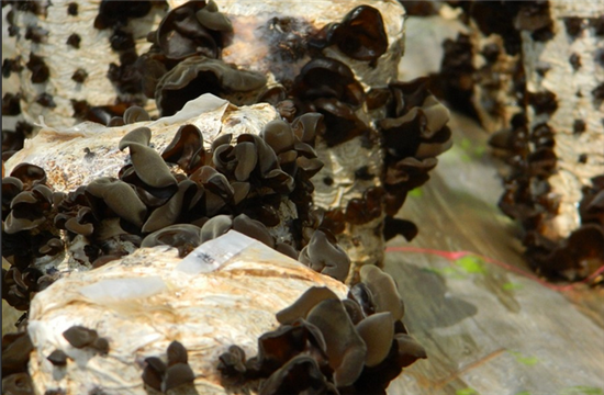 QQ图片20160322110550