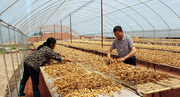 QX@]AL9[RD[OI)FN4I5OUKF