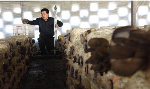 QQ图片20160323150338