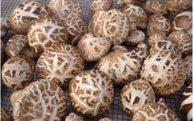 QQ图片20160324163722