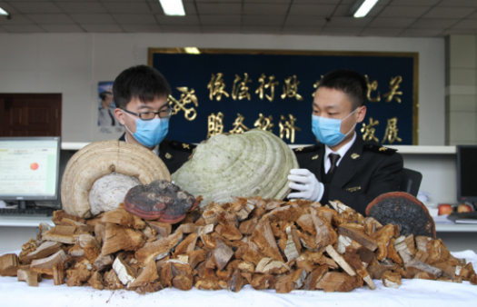 UQWO0GA08@Z7K{1QGV`95_N