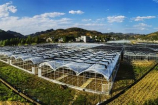 项目观摩 走进大方雪榕ManBetX体育基地