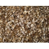 大量供应烘干平菇（4X4）欢迎洽谈