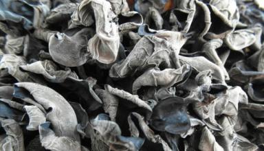 u=3399147522,1100622139&fm=21&gp=0