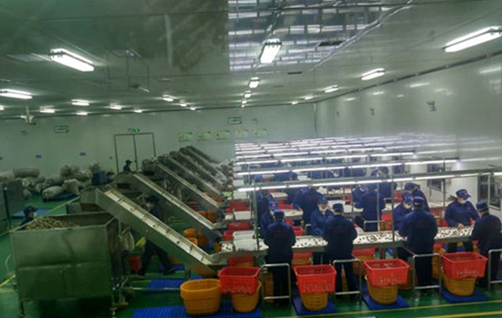 c4db6887-bc46-4f29-83f5-f866c1567066_size45_w500_h370