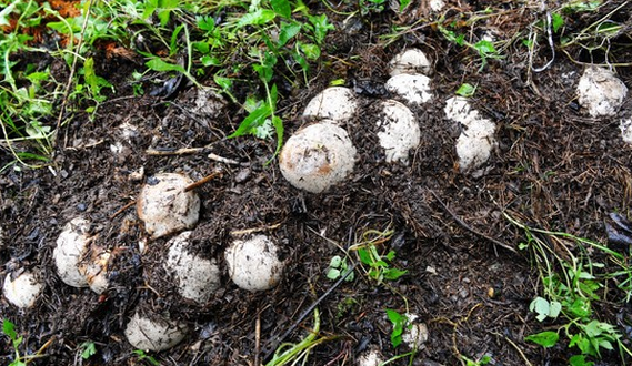 TJ81863@A7J5@3}L{LOAK3G