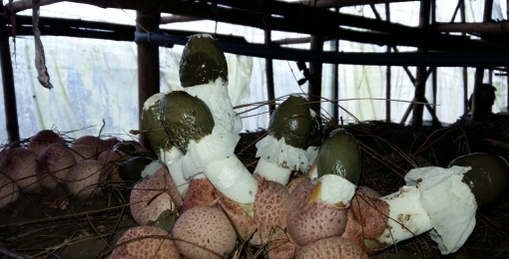 )CU}_YEA)4({GP$AB@5`RT8