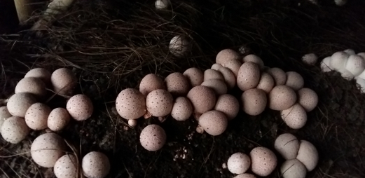 021E3D[1LBK8DVE(`@G_%)4