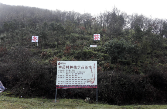 MSCG]S6FBUJKZL%NSAZS[)C