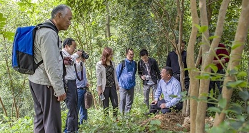 d8ef49a838c341448bda87720c41363a_th