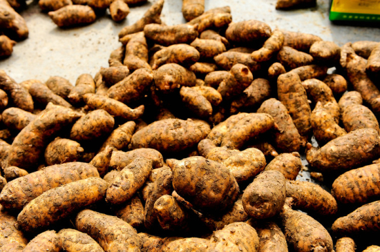 2813905342193487112_编辑