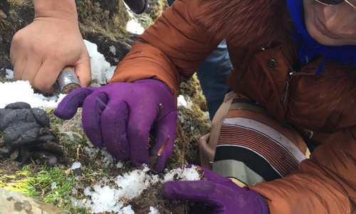 2016611464743948300_0