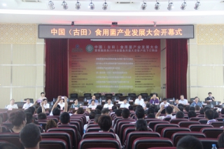 “中国（古田）Manbetx体育手机版推荐A9版本产业发展大会暨善融商务2016年全国Manbetx体育手机版推荐A9版本大宗客户线下订货会”于5日隆重召开