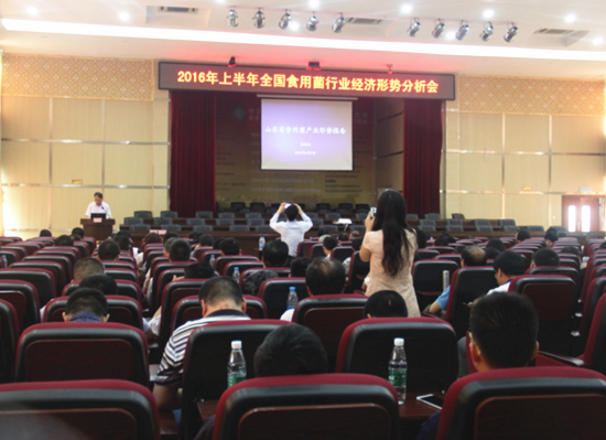 0814533011944_副本