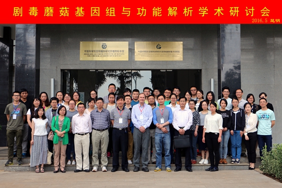 untitled_副本_副本