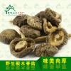 修水椴木香菇代理_九江抢手的野生小香菇批发