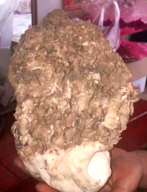 c03fd5ec171218c8486010[1]