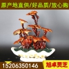 办公室创意盆栽 灵芝盆景 灵芝菌种 鲜活体灵芝办公室绿植