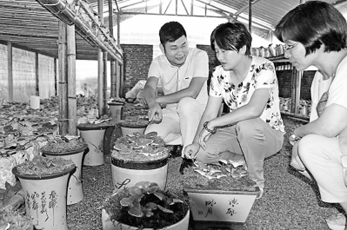 cfdc686c-2068-4484-a8cd-f25870413e50_size104_w399_h265