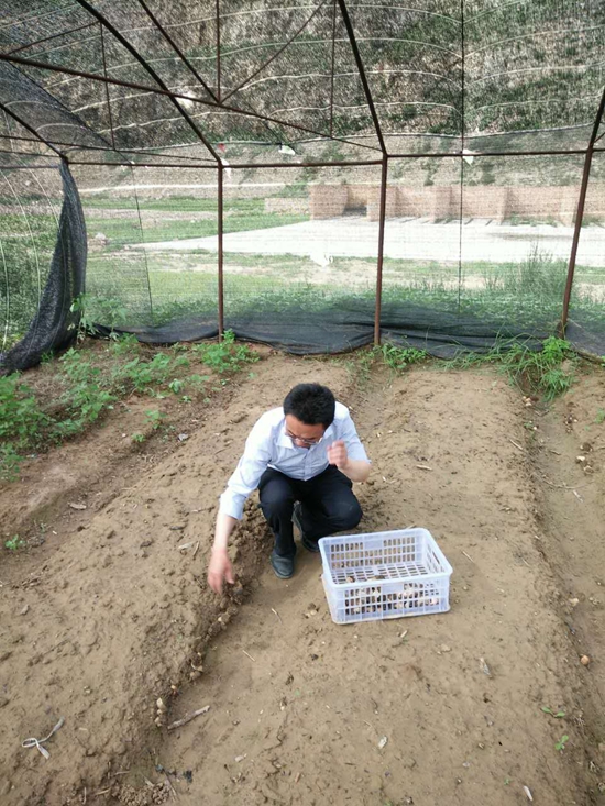 FFXL{SUV5$MPNMEX$}Z{[IJ