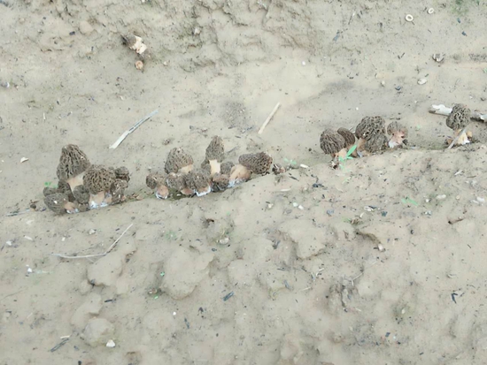 1[D7[~NA8H@0ZHO(QYY3}{S