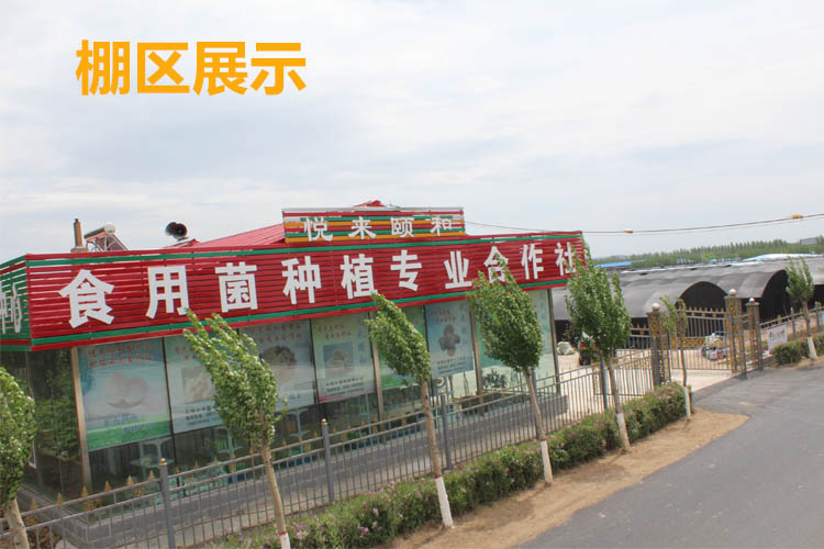 宝贝详情-棚区展示