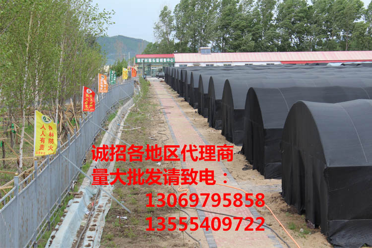 宝贝详情-棚区展示1