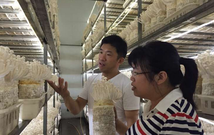 {FFF)BT7{WC4N}~IWIQHXQC