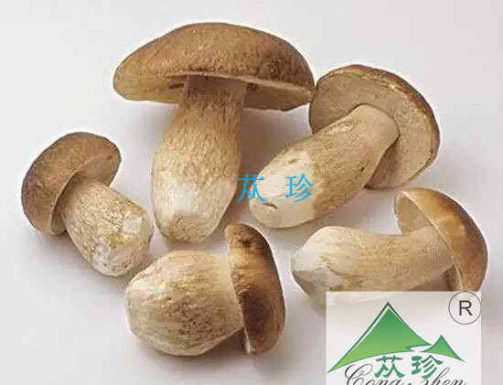 产品图片mmexport1462248681029