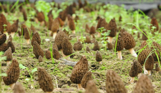 _9Q)CNW6YA]CP$E49_C$DGG