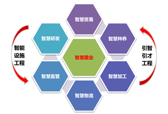 QQ截图20160707135134