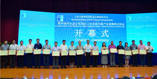 1119194683_14681451281081n