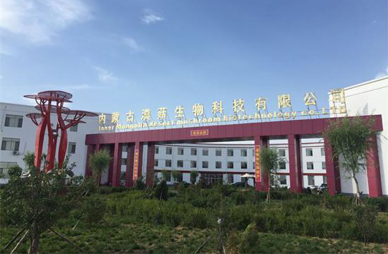 img_266773858578452bd03e2e