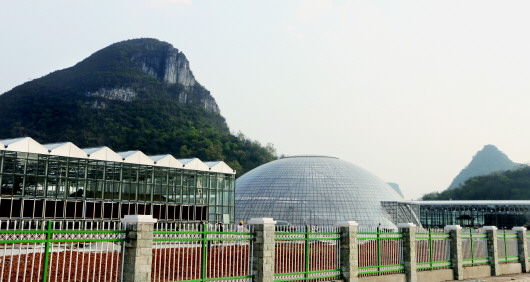 00301584910_5ae23be6