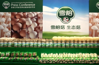 年卖10万吨，市值107亿元，中国金针菇之王如何炼成？