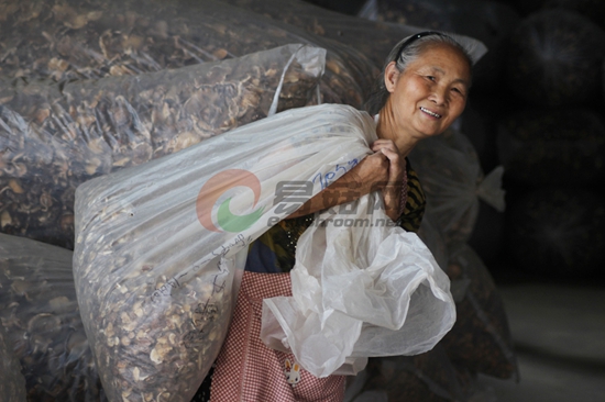 IMG_9981菇农 - 复件