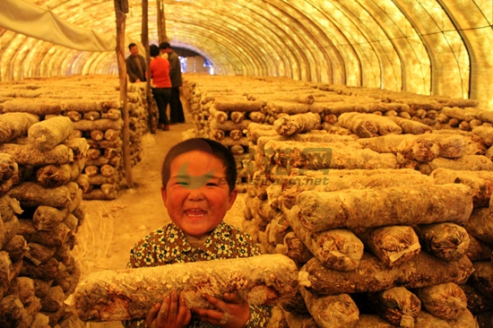 娃娃爱上Manbetx体育手机版推荐A9版本