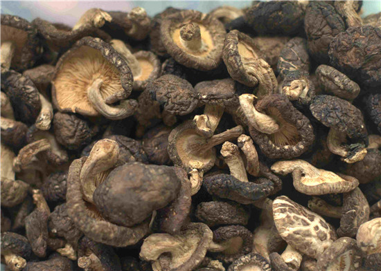 0809084633654_副本