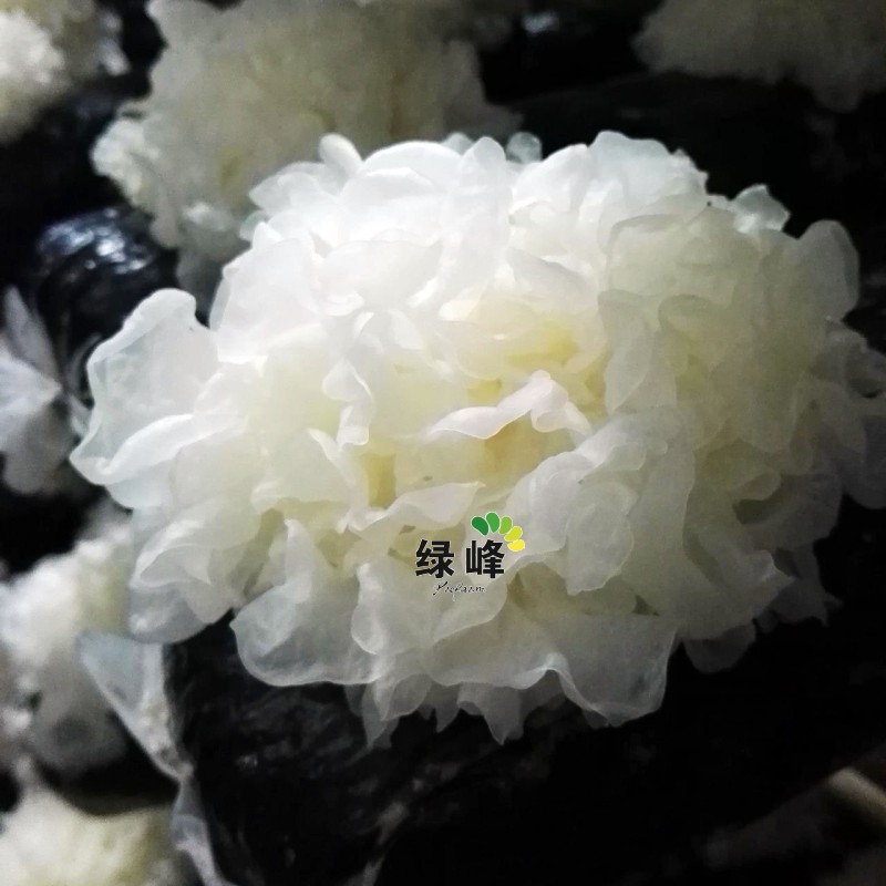 素材800<em></em>x800_1