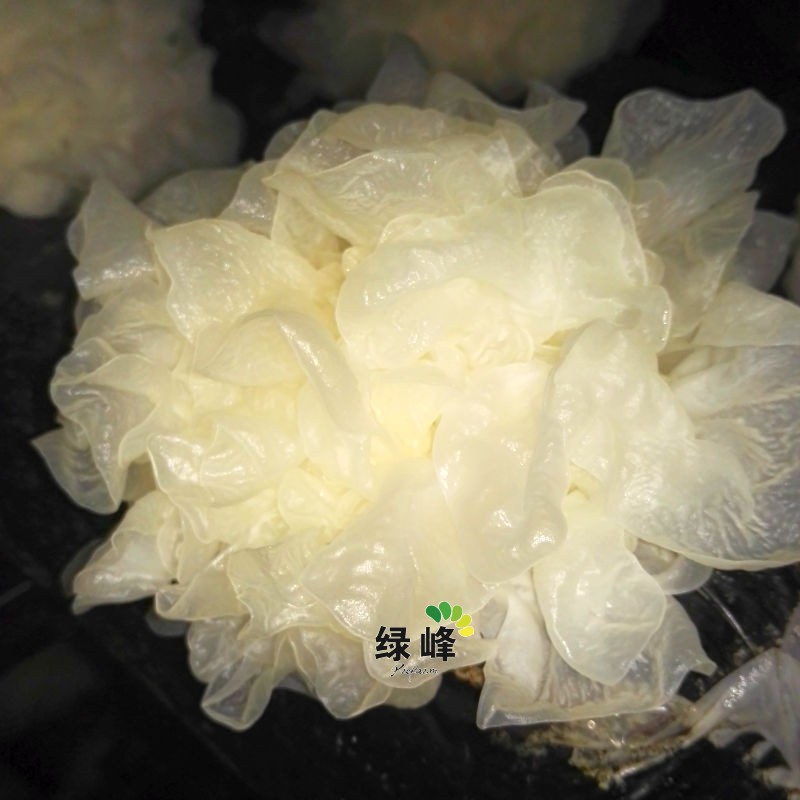 素材800<em></em>x800_2