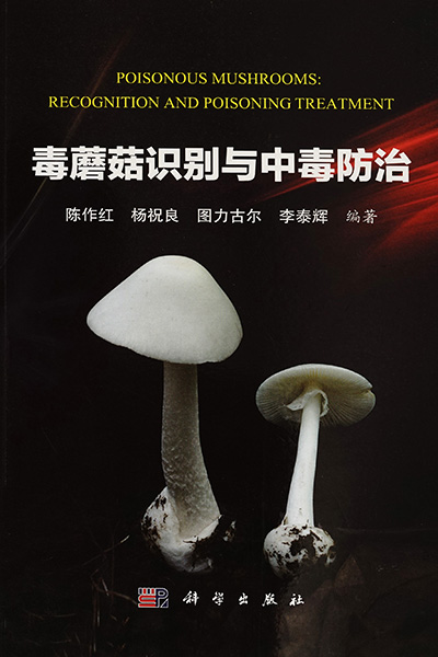 BECEE4DE1C24C84CB9F3706C6D3_F9668379_16E2E