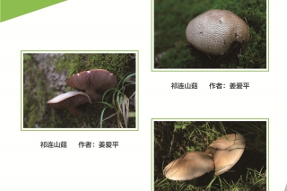 2016第三届中国Manbetx体育手机版推荐A9版本摄影作品大赛 (1)